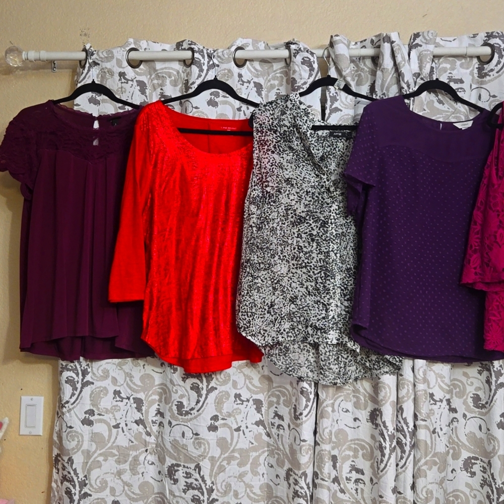 Beauty Bundle of Fun! 13 tops